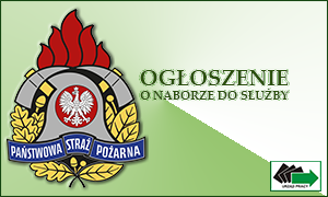 Zdjęcie artykułu Ogłoszenie o naborze do służby w Państwowej Straży Pożarnej w Lipnie