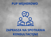 Zdjęcie artykułu „Standaryzacja modelu zatrudnienia wspomaganego w Polsce”